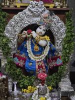 Shri Gurunatheshwar Gopalkrishna Temple, Chitrapur (4 Sep 2026); Picture Courtesy Shri Jnanesh Hattangadi Bhat and Shridatt Kodical